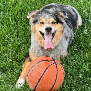 Meet your Posher, Mel